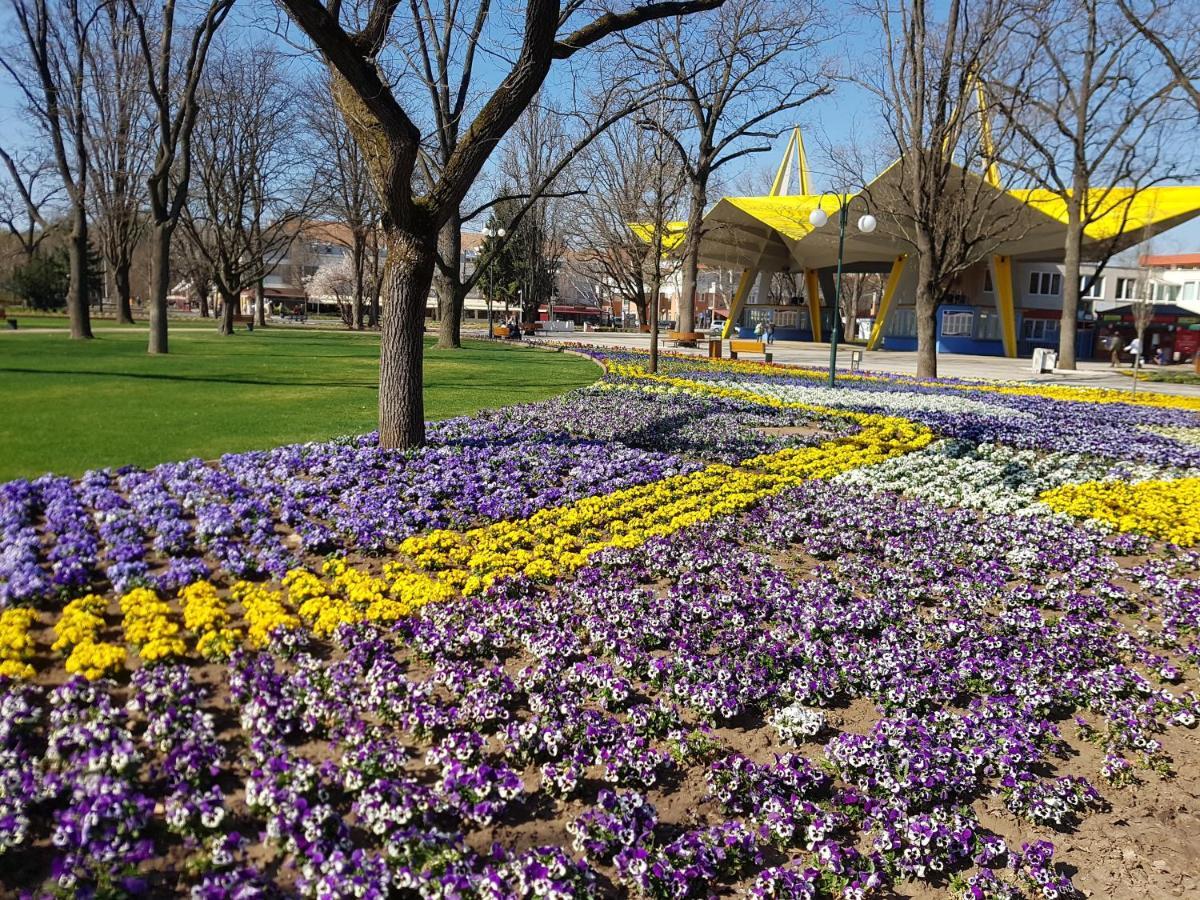 Lola Studio Apartman Hajduszoboszlo Luaran gambar